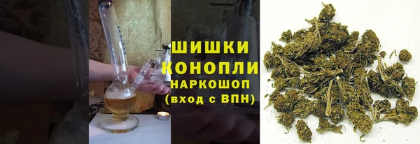 гашик Алексеевка
